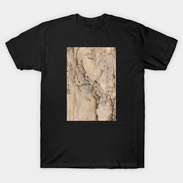 Beach side intimate rock texture T-Shirt by textural